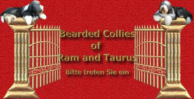 Das Tor zu Omma von den Bearded Collies of Ram and Taurus mit Möppy und Teary als Eingangsfiguren